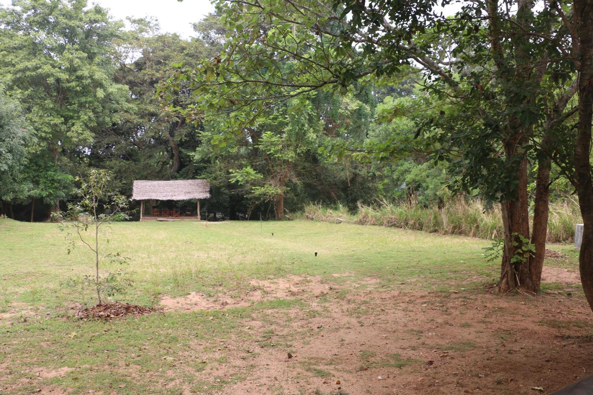 Wildescape, Yala Blocks 3 & 5 Buttala Exterior foto
