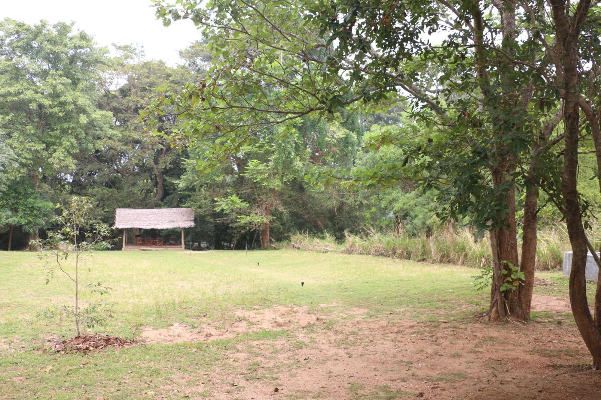 Wildescape, Yala Blocks 3 & 5 Buttala Exterior foto