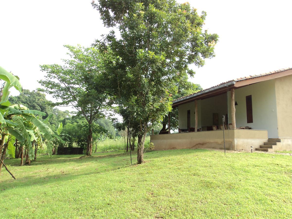 Wildescape, Yala Blocks 3 & 5 Buttala Exterior foto