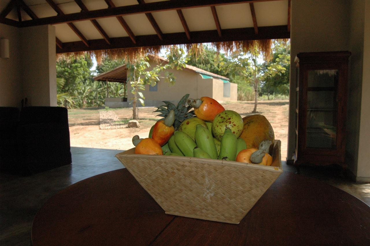 Wildescape, Yala Blocks 3 & 5 Buttala Exterior foto