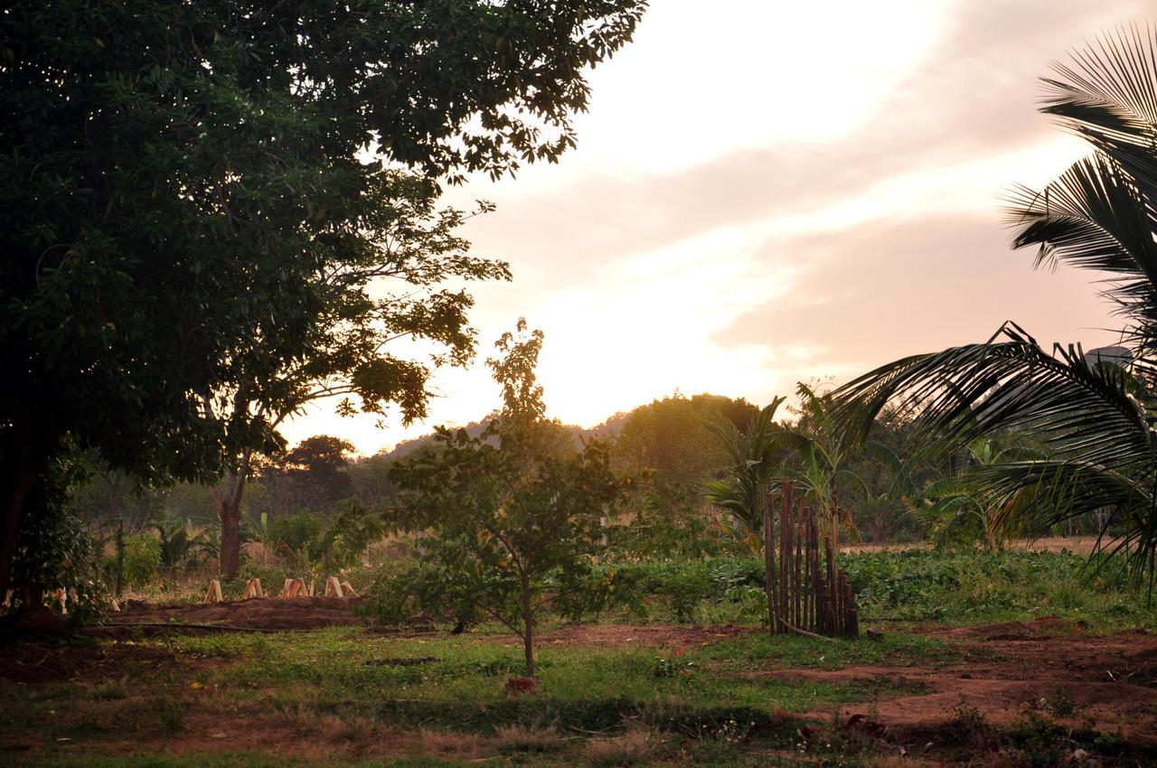 Wildescape, Yala Blocks 3 & 5 Buttala Exterior foto