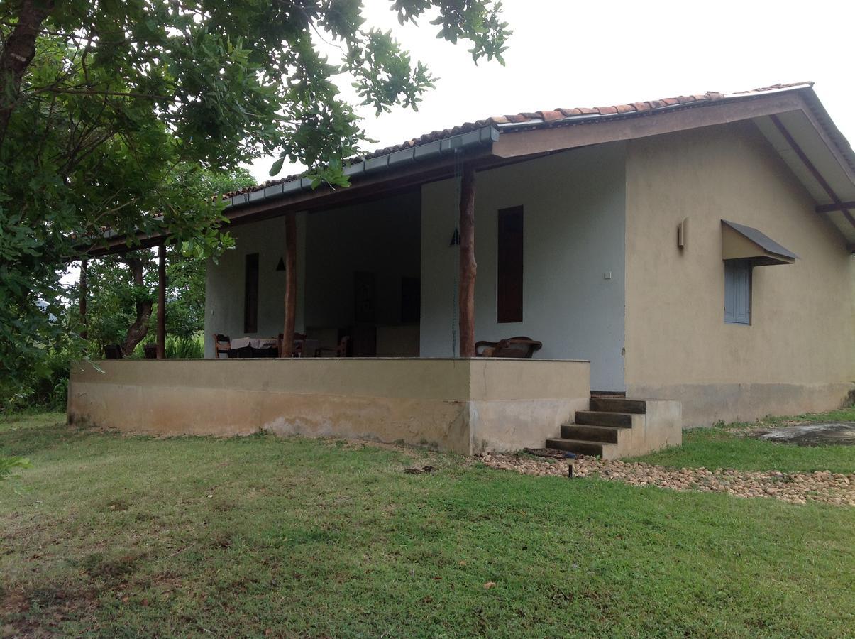 Wildescape, Yala Blocks 3 & 5 Buttala Exterior foto